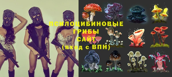 трава Баксан