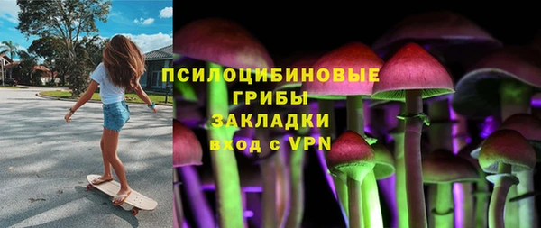гашик Балабаново